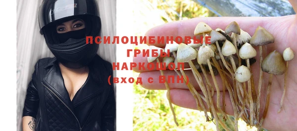 Альфа ПВП Михайлов