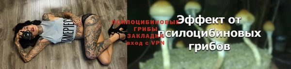 Альфа ПВП Михайлов