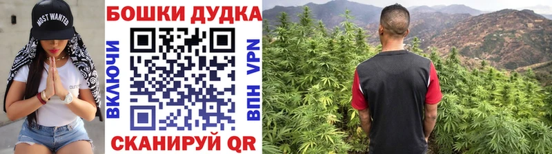 Купить  Мантурово  МАРИХУАНА сатива 